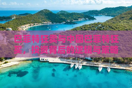 巴菲特狂卖与中国巴菲特狂买，投资背后的逻辑与策略对比